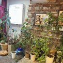 부래도 화장실 이미지