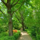 비산 빗물펌프장 이미지