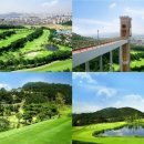 캐슬렉스CC 이미지