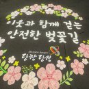 학천변길 | [당진 벚꽃] 24 . 4. 1주 차. 당진천 벚꽃길 후기