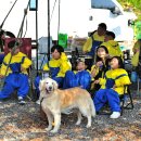 의령 거장산 오토캠핑장 이미지