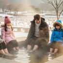 연꽃유치원 | 시흥 연꽃테마파크 겨울 체험행사 추천 코스 5가지