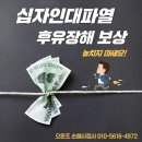 당진 유도관 이미지