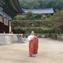 소떼목장 이미지