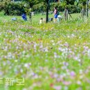 시민복지타운광장 이미지