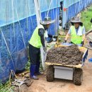 군서농협 이미지