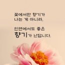 서포씨씨 이미지