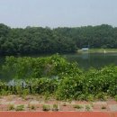 영림농장 이미지