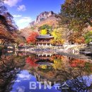 백양사 - 1487 | 백양사
