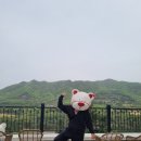 스위스파크 | 가평 가볼만한곳 애견동반 여행코스 에델바이스 스위스 테마파크 대만족 후기 :)