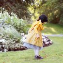 엠버(Amber) 이미지