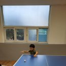 송화당구장 | 포천 자연마을 서울캠핑장 / 서울시민 우선 예약으로 반값 캠핑장이용하기