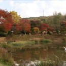 일영랜드 이미지