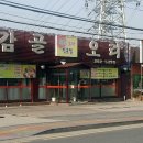 감골오리 이미지