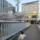 간선3 | 서부간선수로 벚꽃 구경 후 들르기 좋은 카페, 카페동네