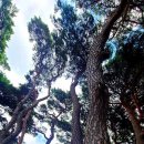 방기공원 화장실 이미지