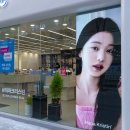 윙크렌즈스토어 티스토리