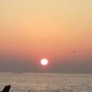 삼거리펜션민박 이미지