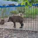 정원펜션 이미지