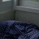 일진뜨리에아파트 이미지