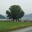 양전1리마을회관 이미지