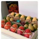 하나팜스 이미지