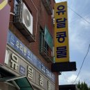 유달콩물본점 이미지