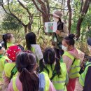 아미산자생식물원 이미지