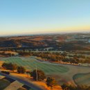 소노펠리체 델피노 이미지