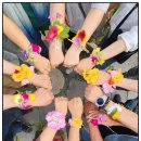 석양마을주포캠핑장 | 전남 함평 가볼 만한 곳 명소 돌머리해변 주포권역금계국 윤슬한옥 1박 2일 코스