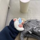 송도제이치과의원 | 내돈내산 크라운 삼십대는 치과가는 것이 일상이 돼 . . 송도 치과 추천 / 제이 치과 의원