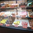 졸리졸리 이미지