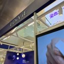 씨제이올리브영(주)올리브영강남타운 | [2월 올리브영 강남타운 팝업] 로이비, 에센허브, 보다나 팝업 후기 및 간단 정보