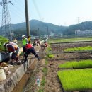 에스케이건설(주) 이미지