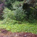 역삼-1547 이미지