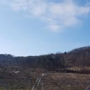 중천농장 이미지