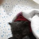 엘리네집 이미지