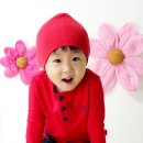 베베앙드레 이미지