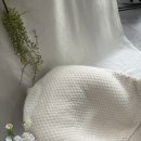 대구 출장 사진관 추천 디유스냅 성장패키지 (50일 사진 후기)