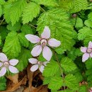 해가지는마을길 이미지