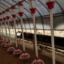 이화농장3 이미지