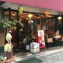 냥이파파 이미지