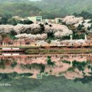 2024 이천도자기축제 기념 콘서트 <이탈리아 마에스트로 마르코 보에미> | 이천시 설봉공원의 봄