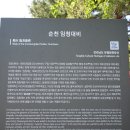 순천-77호 Daum카페