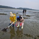 긴뿌리농장 | 태안펜션 추천: 수선화펜션에서 경험한 태안갯벌체험펜션의 정석(태안독채펜션 후기)