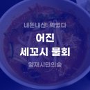 어진횟집 | [내돈내산] 양재시민의숲 횟집 어진 세꼬시 물회 후기 (+양재 회식 장소)