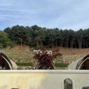 감성 한스푼 서양화 | [포천] 스푼글램핑 카라반 : 몸만 가면 되는 감성 글램핑 후기