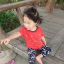 산내들어린이집 이미지