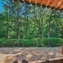 무소유 | 속세를 벗어나 오롯이 마주한 나, 순천 송광사 1박 2일 템플스테이 후기 + 무소유 법정 스님