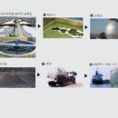 바다랑육지랑 이미지